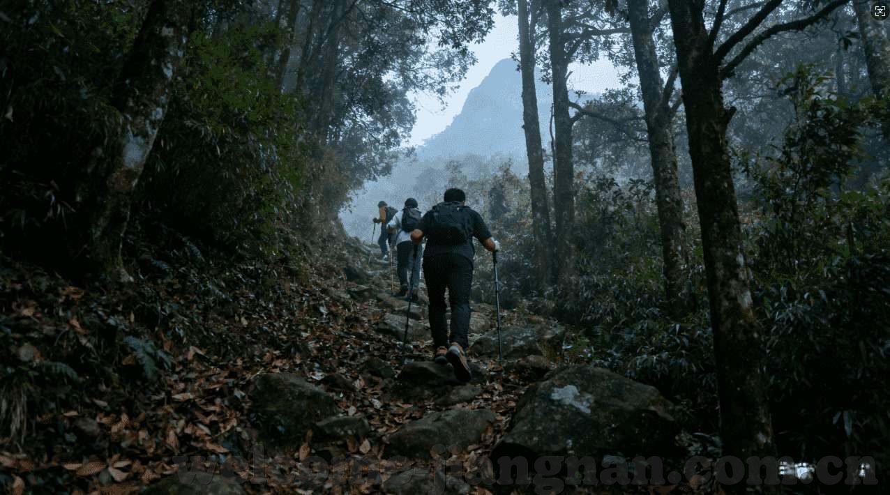 澳门赌场几万可以赌吗-澳门赌场，几万元能否开启赌局